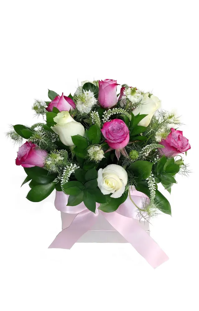 BOX DE 12 ROSAS