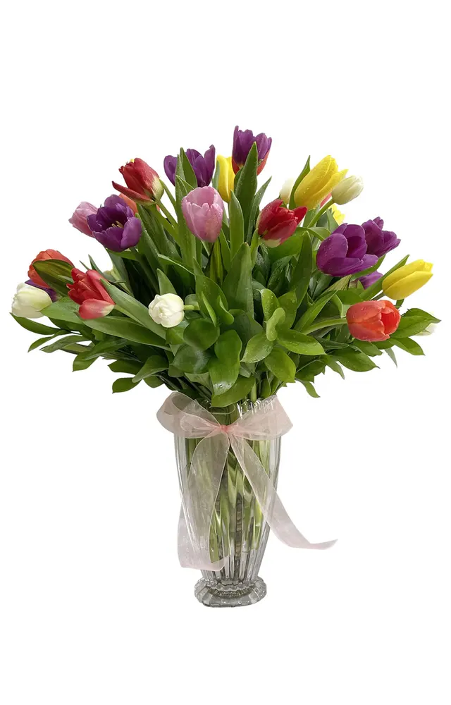 ARREGLO DE 20 TULIPANES