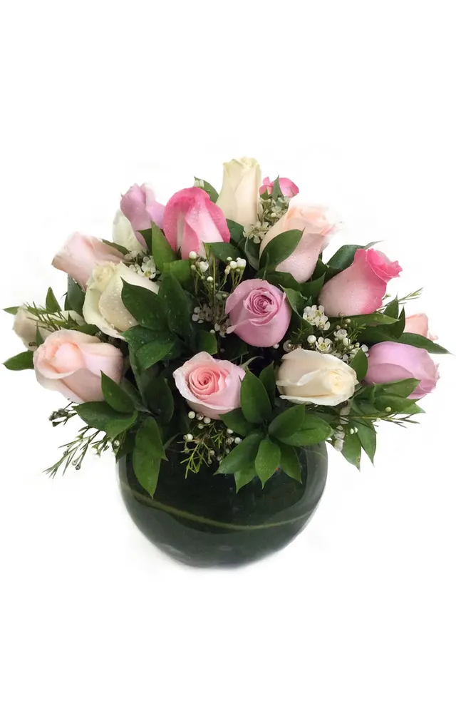18 ROSAS EN PECERA