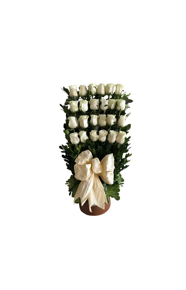ROSAS BLANCAS EN 4 NIVELES