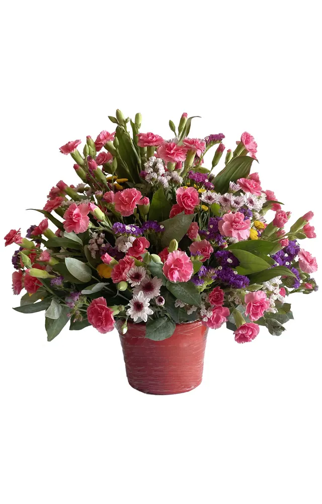 ARREGLO DE CLAVELES PRIMAVERAL