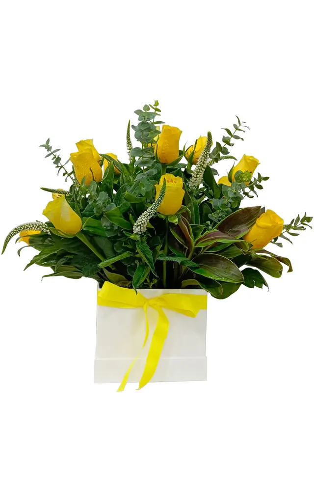 BOX DE 18 ROSAS