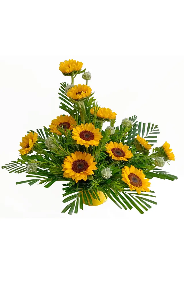 ARREGLO DE 12 GIRASOLES