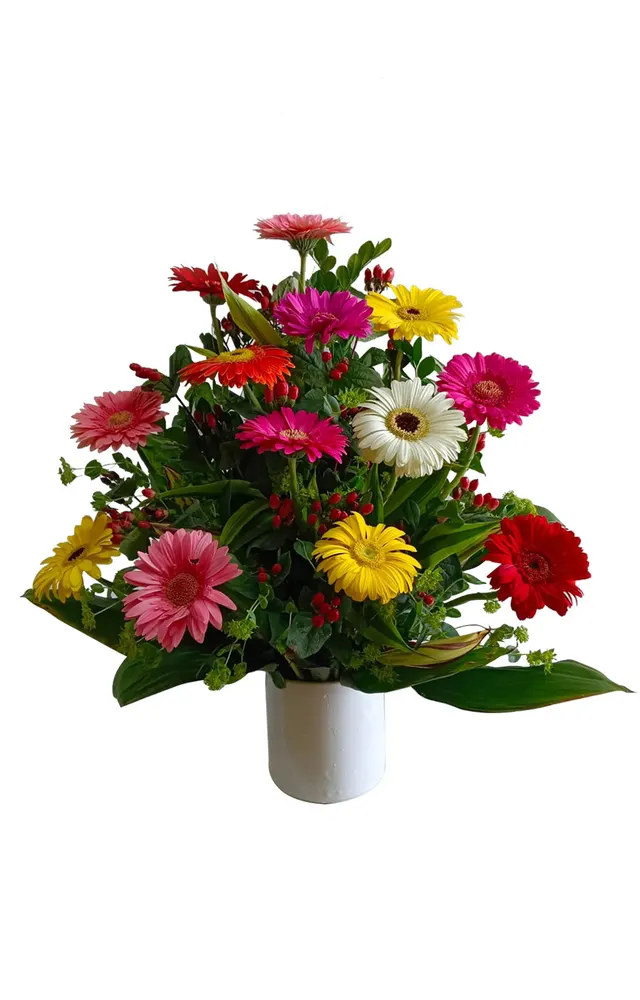 ARREGLO DE GERBERAS
