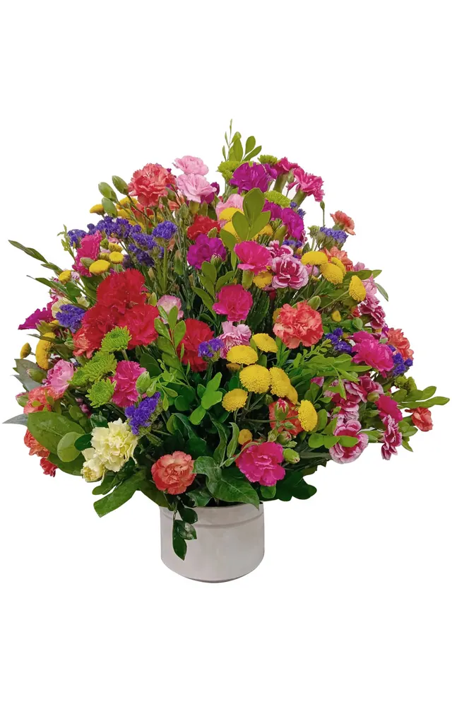 ARREGLO DE CLAVELES SPRAY PRIMAVERAL
