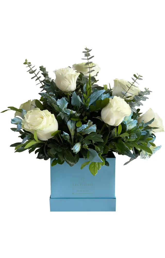 BOX DE ROSAS BLANCAS