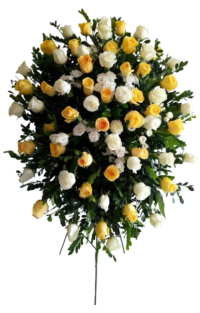 LAGRIMA EN PARANTE CON ROSAS