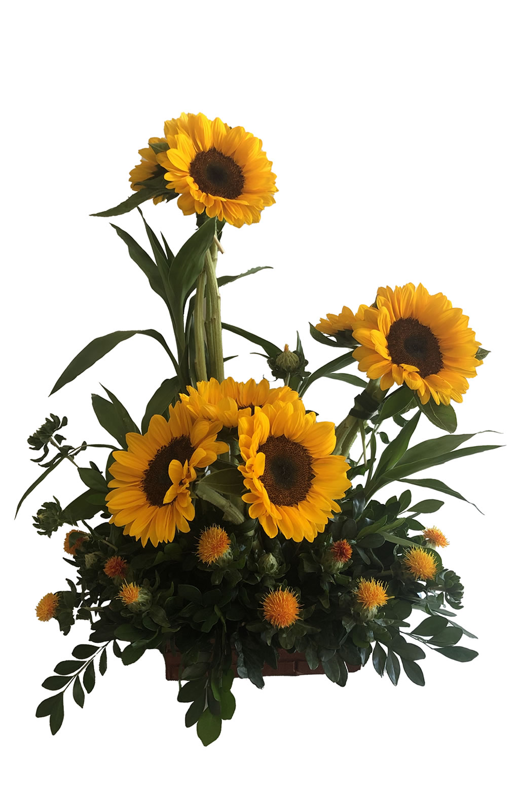 TOPIARIO DE GIRASOLES