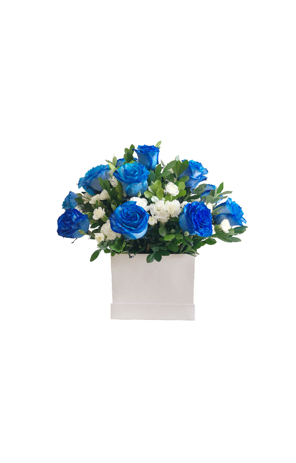 BOX DE 12 ROSAS AZULES