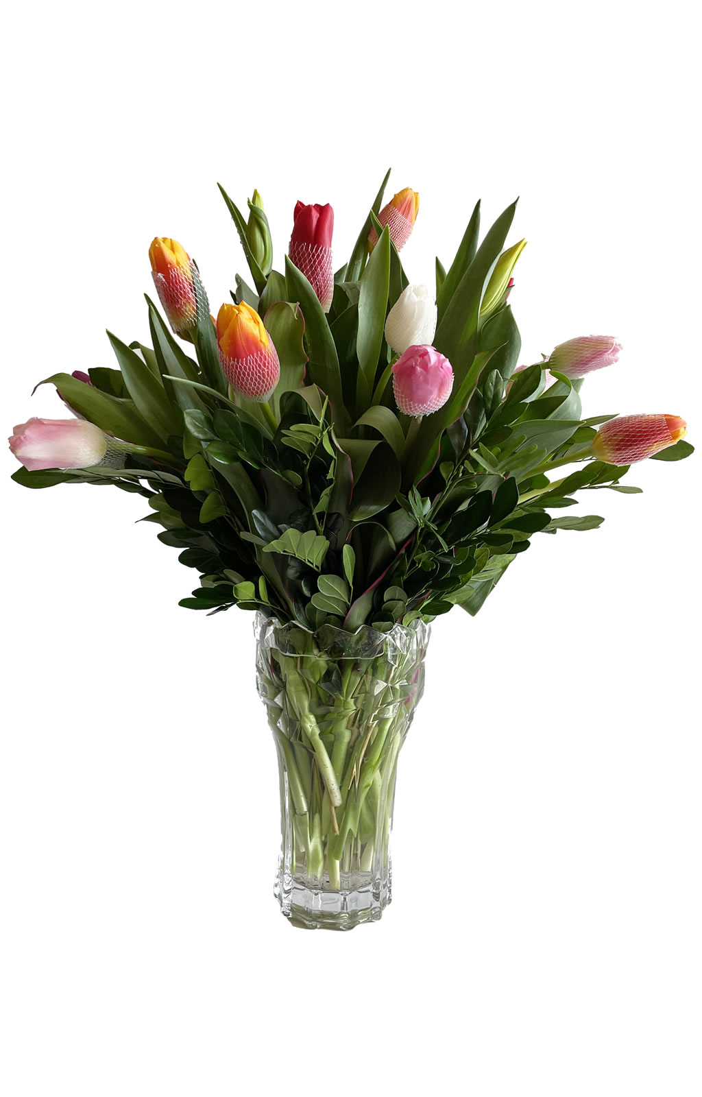 12 TULIPANES EN FLORERO