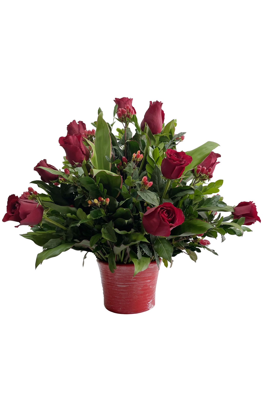 ARREGLO DE 12 ROSAS E HIPÉRICO