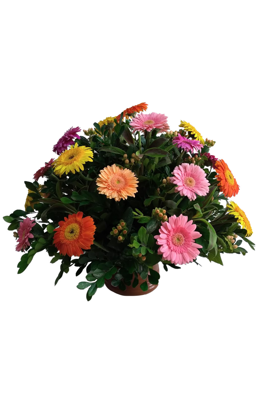18 GERBERAS PRIMAVERAL