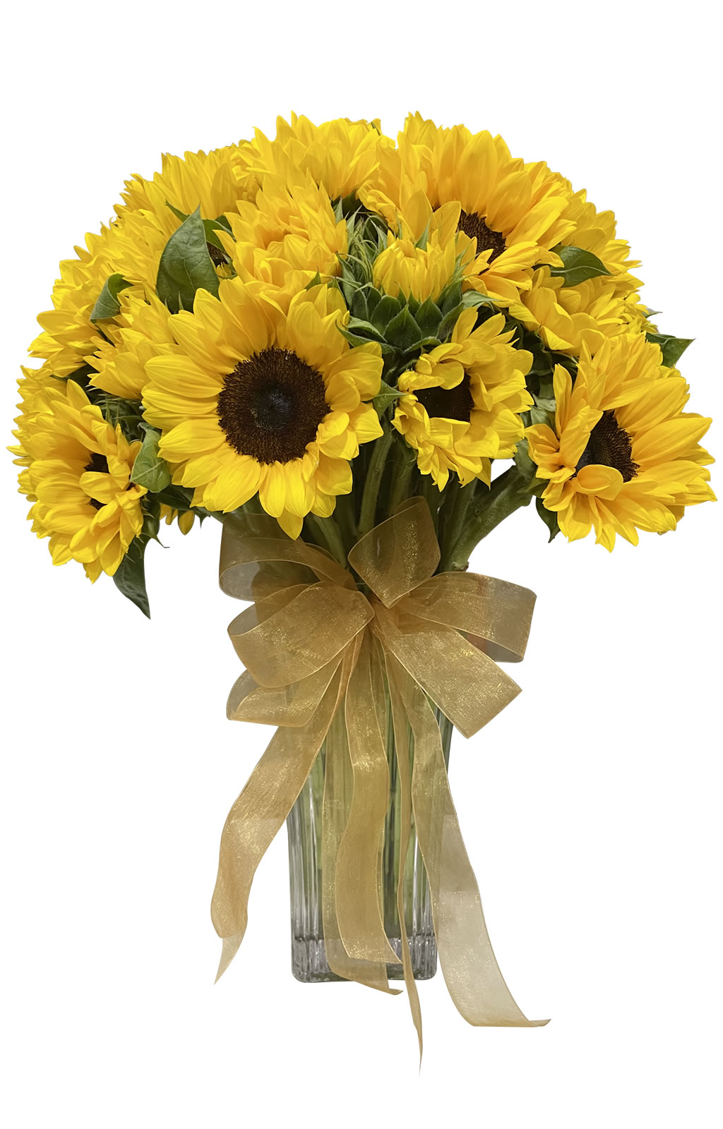 ARREGLO DE 24 GIRASOLES