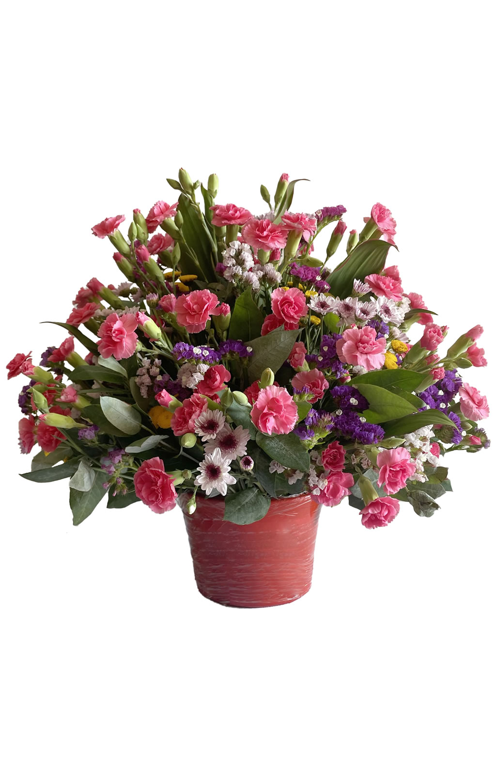 ARREGLO DE CLAVELES PRIMAVERAL