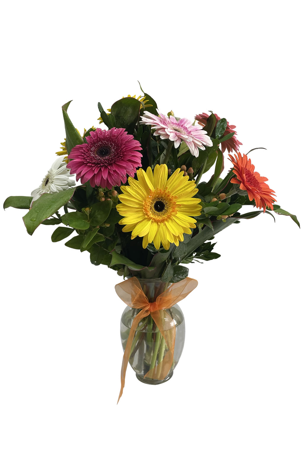 ARREGLO DE 9 GERBERAS