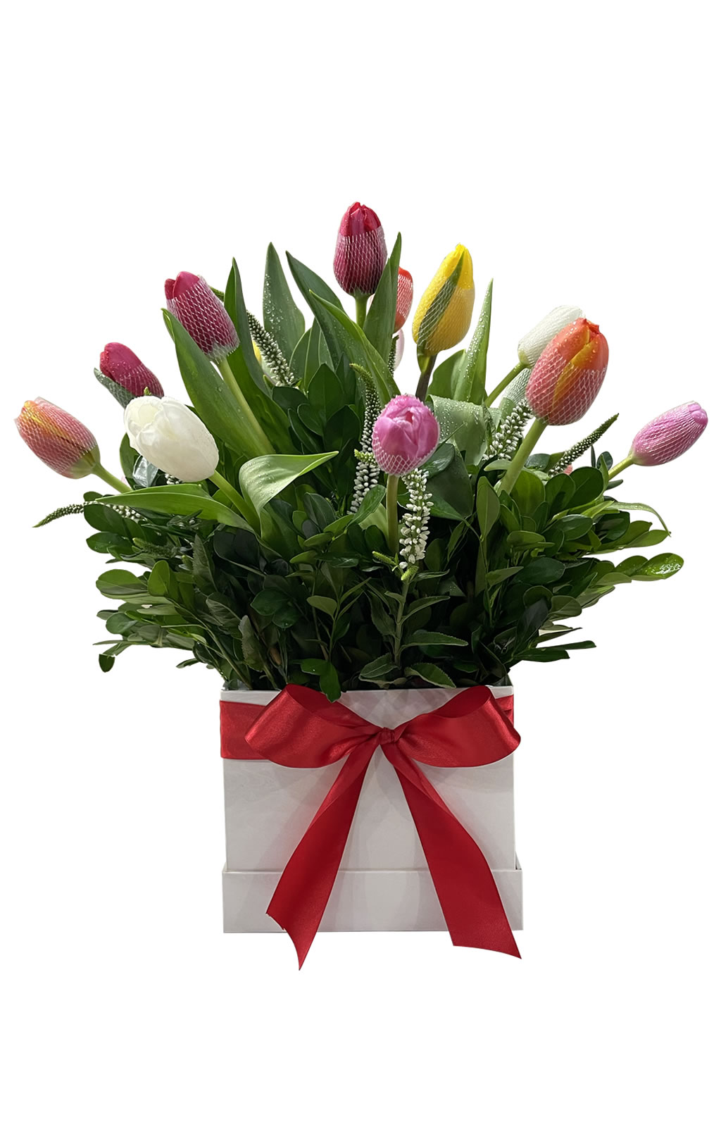 BOX DE 18 TULIPANES