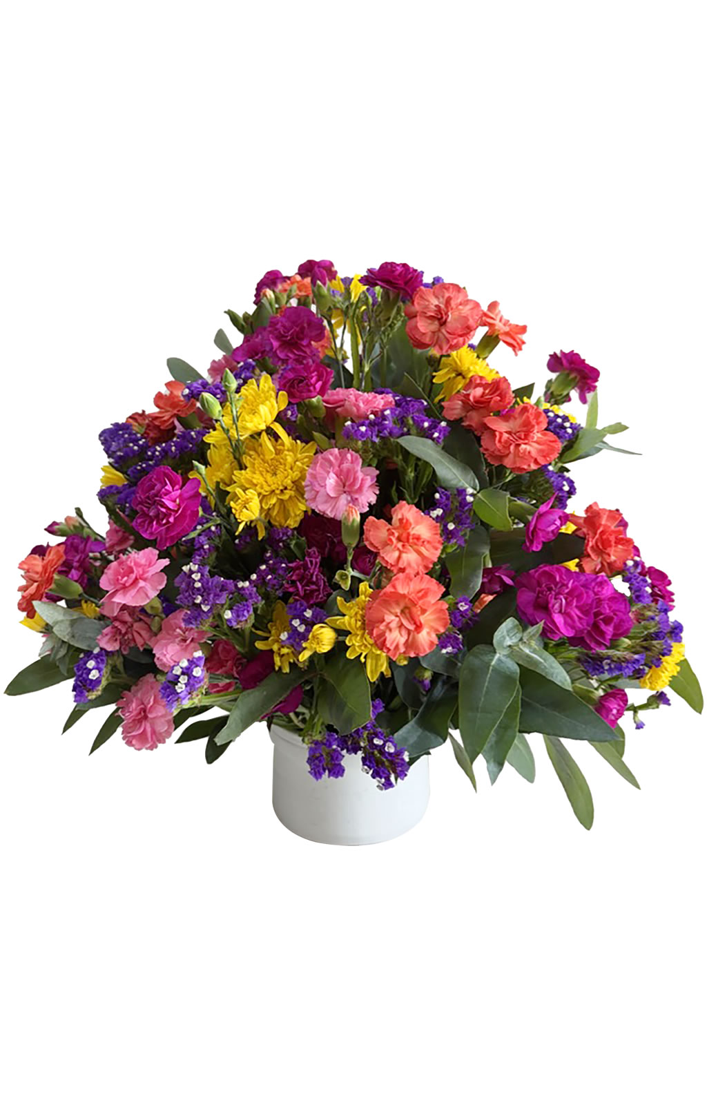 PRIMAVERAL DE CLAVELES