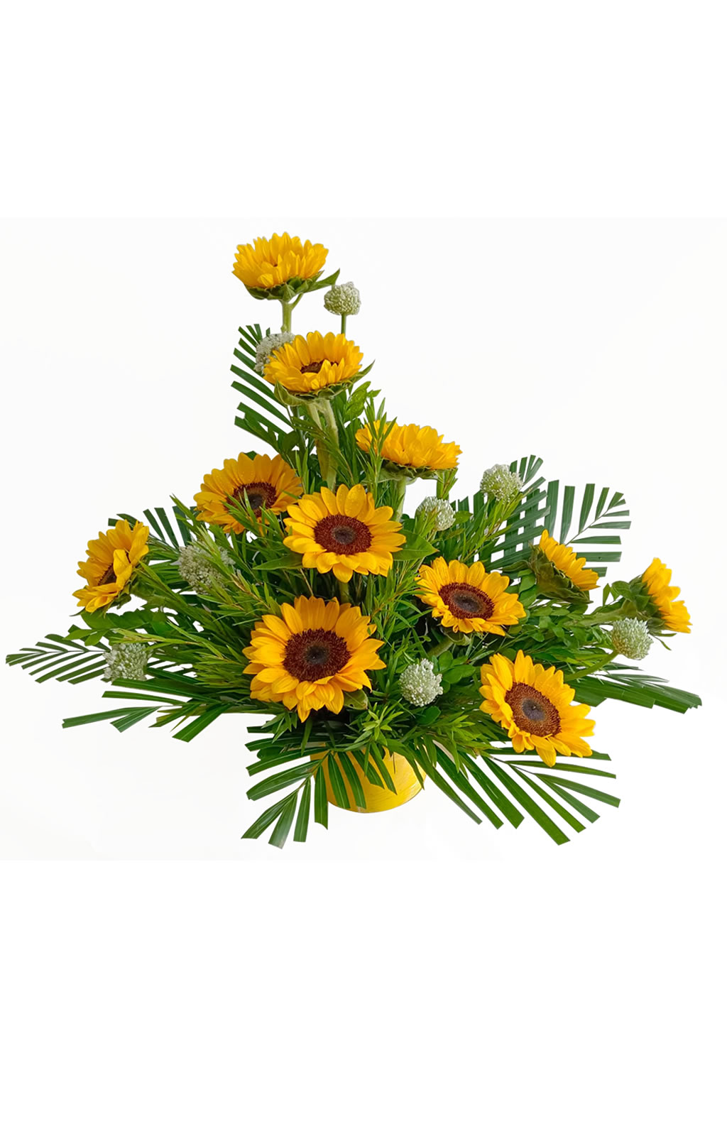 ARREGLO DE 12 GIRASOLES