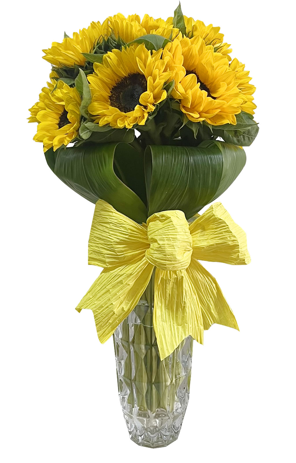 12 DE GIRASOLES EN FLORERO