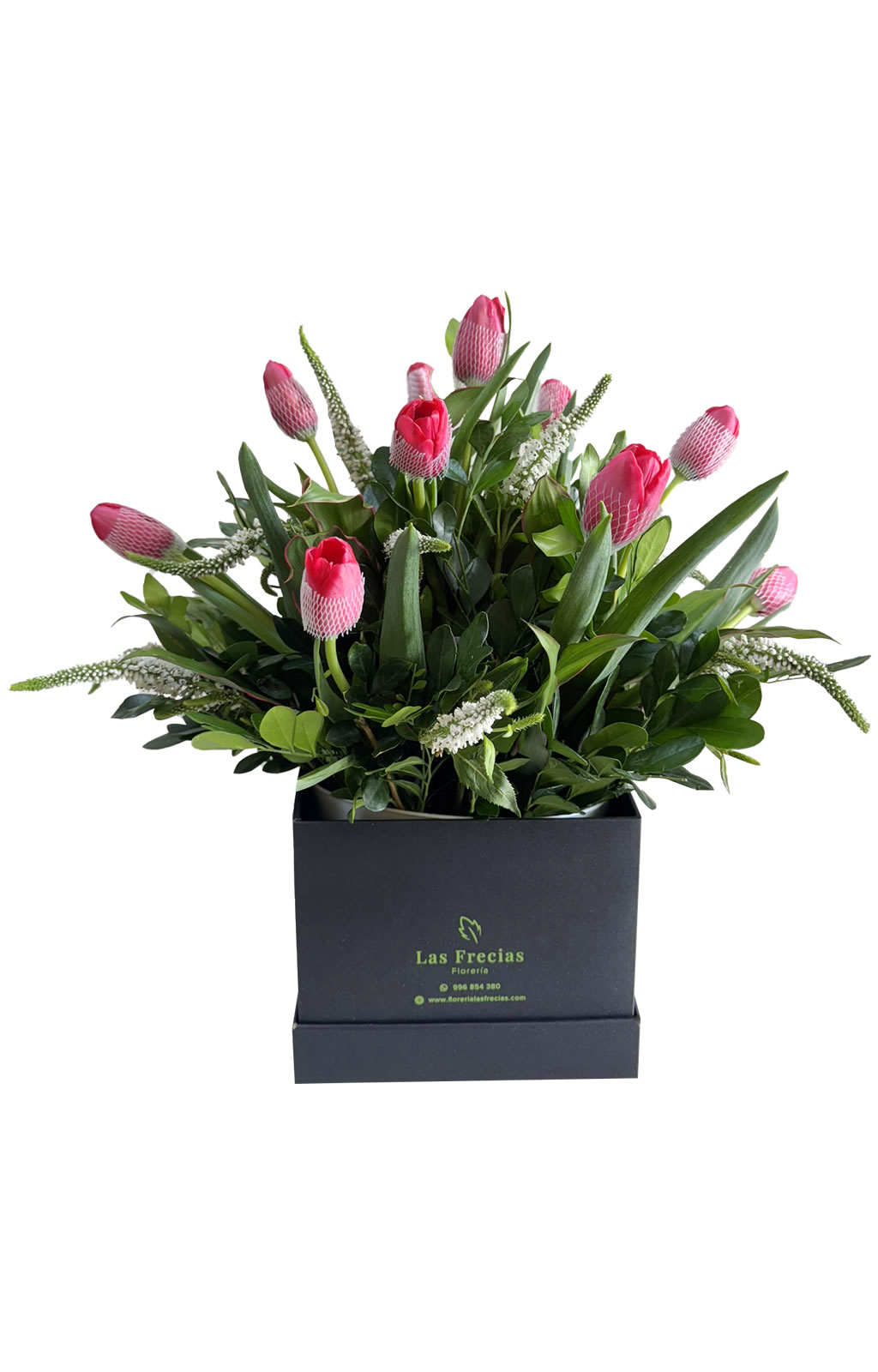 BOX DE 12 TULIPANES