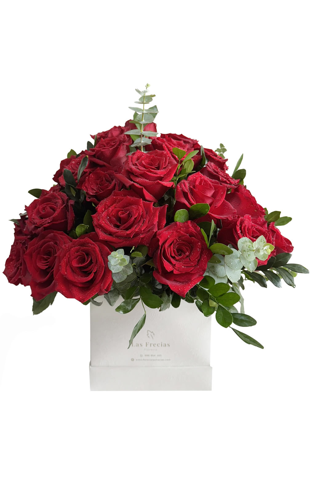 BOX DE 24 ROSAS