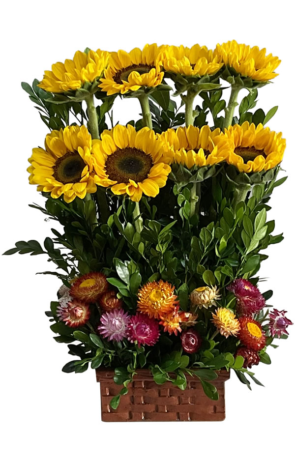 GIRASOL EN 2 NIVELES CON PAPELILLO