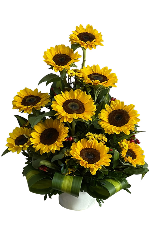 ARREGLO DE 10 GIRASOLES