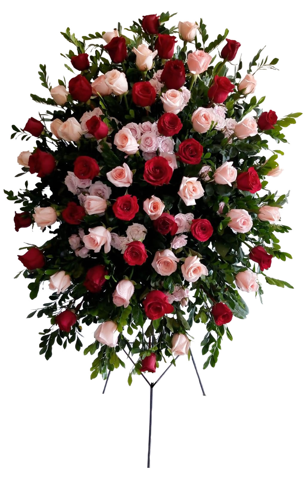 LAGRIMA EN PARANTE CON ROSAS ROJAS Y ROSADAS