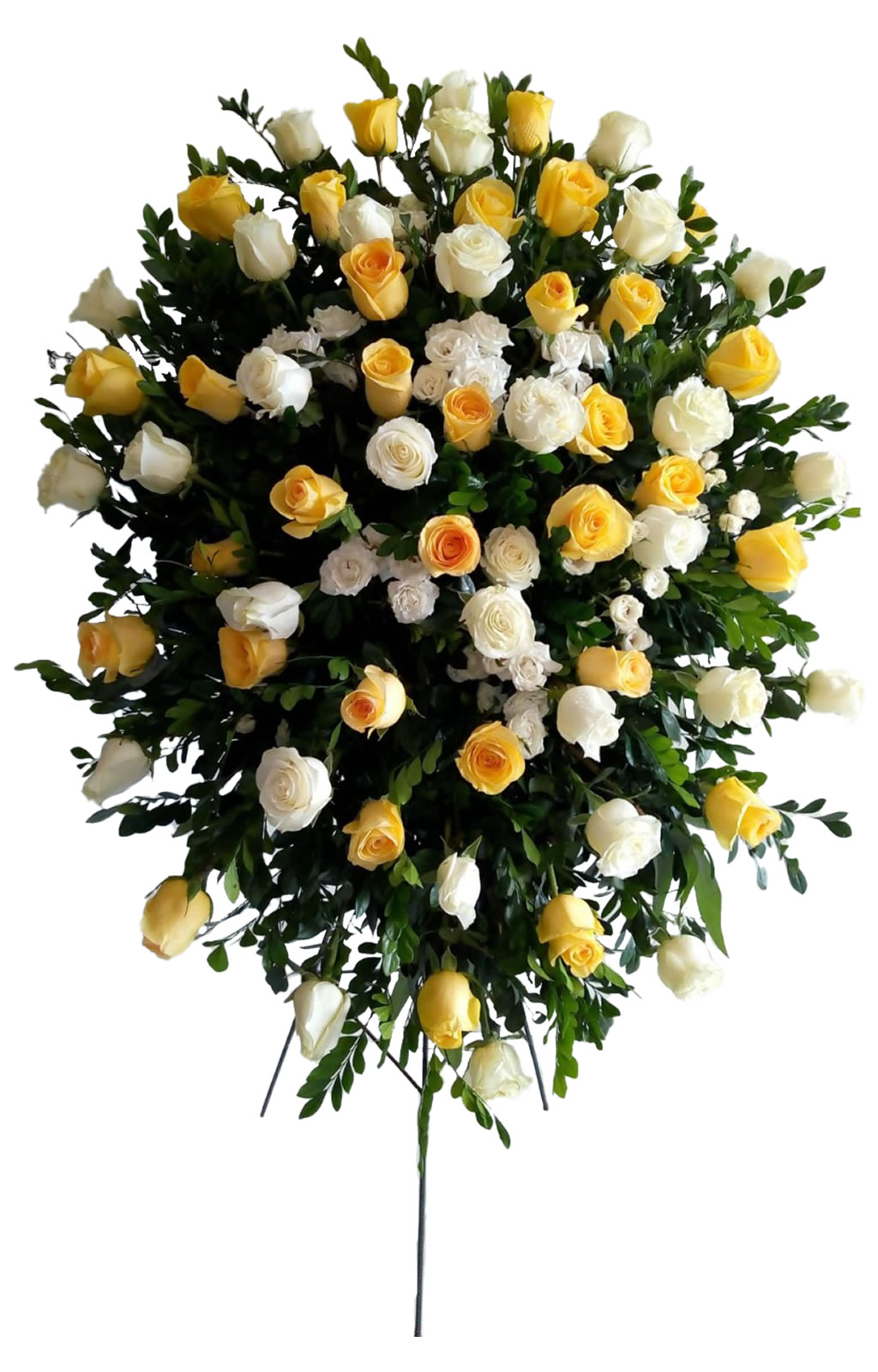 LAGRIMA EN PARANTE CON ROSAS