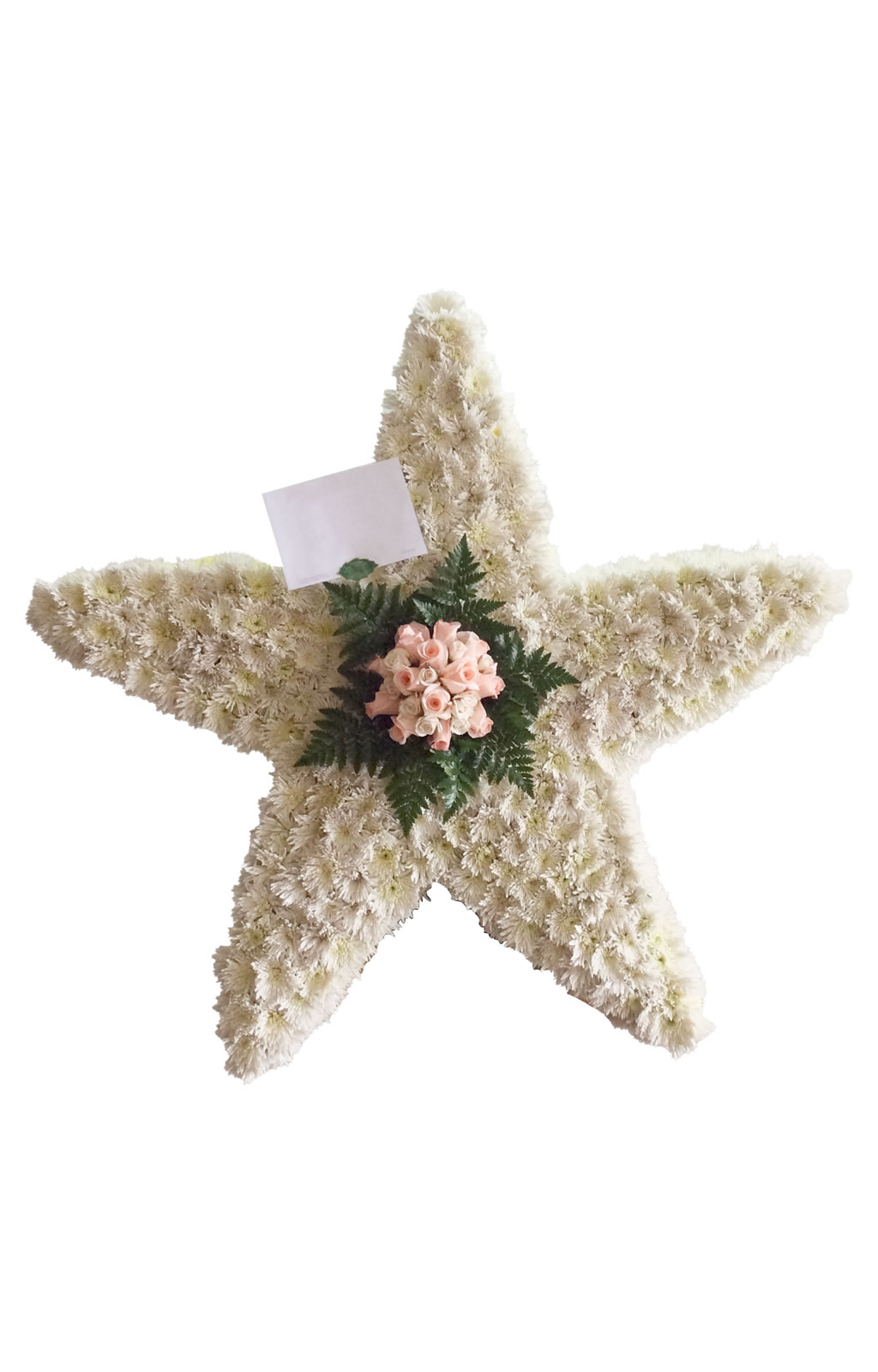 ALMOHADA DEFUNCIÓN ESTRELLA 70 CM X 70 CM