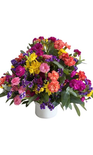 PRIMAVERAL DE CLAVELES