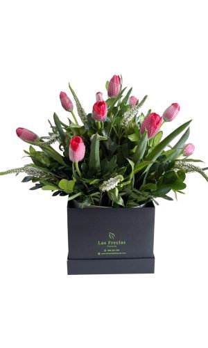 BOX DE 12 TULIPANES