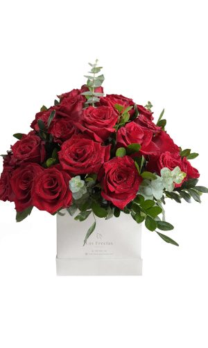 BOX DE 24 ROSAS