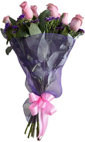 RAMO DE 12 ROSAS Y ESTATIS EN MALLA